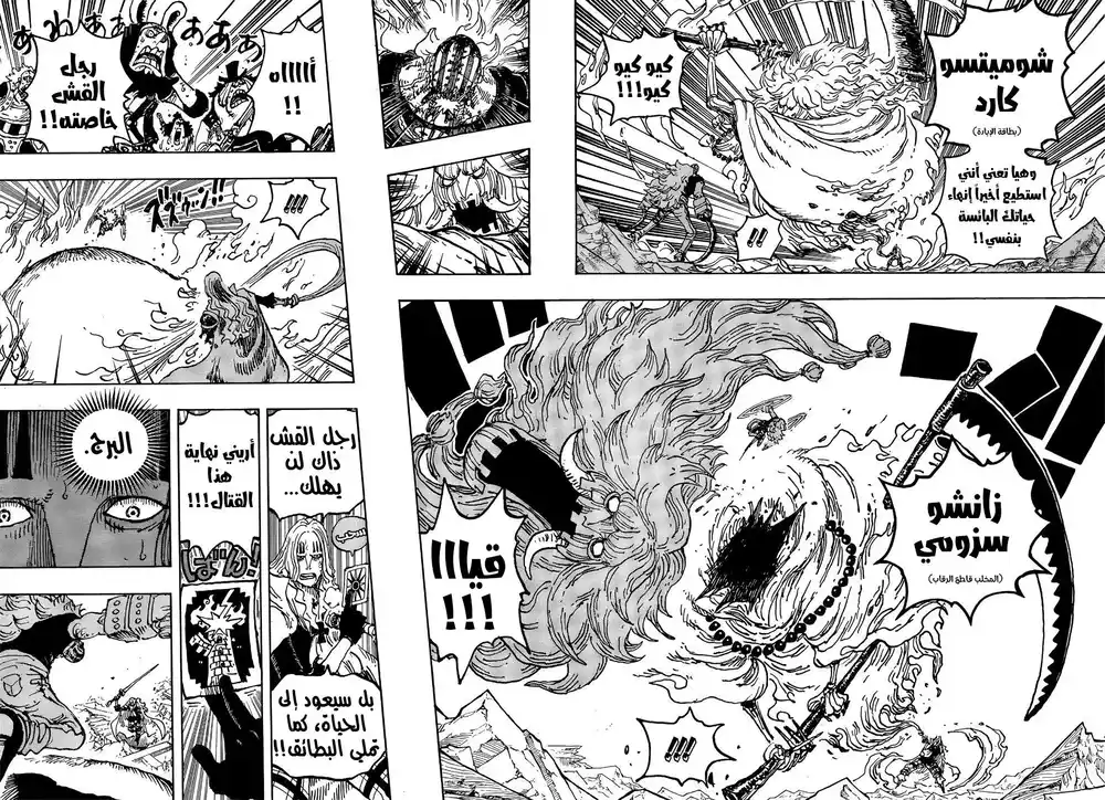 One Piece 1029 - البُرج página 14