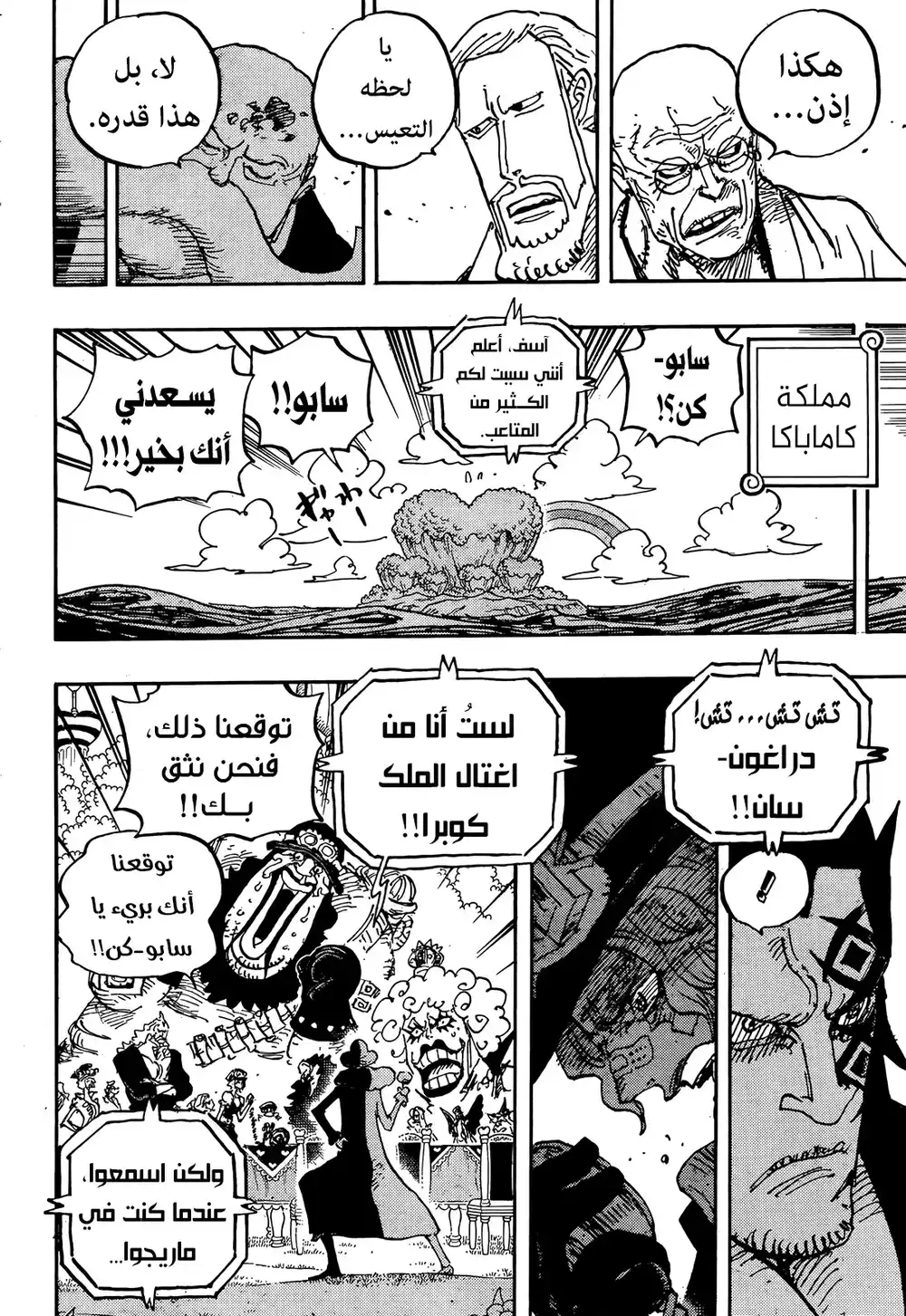 One Piece 1060 - حلم لوفي página 11