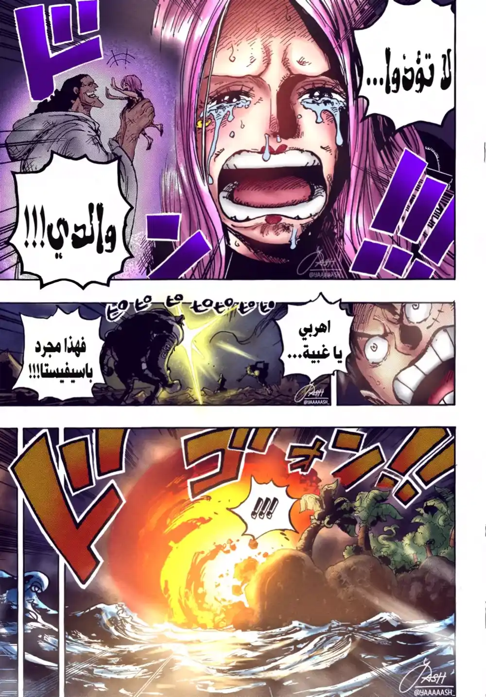 One Piece 1063 - فرد عائلتي الوحيد página 8