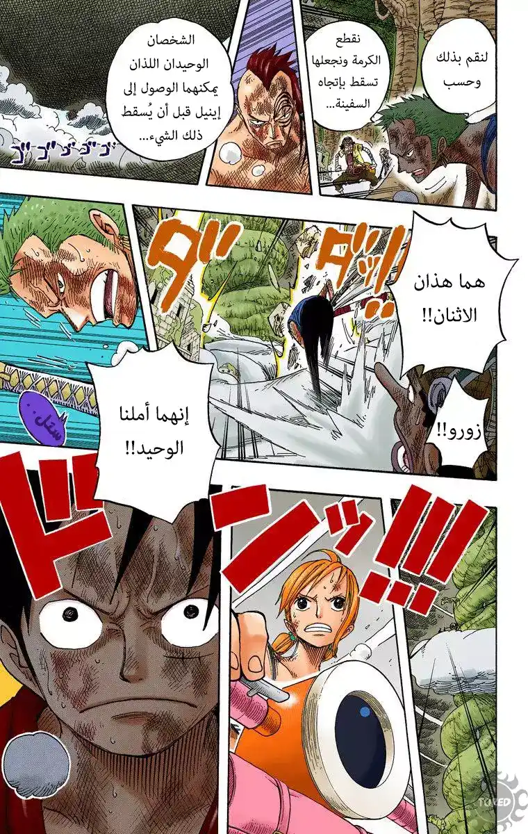 One Piece 295 - شجرة الفاصولياء العملاقة página 17