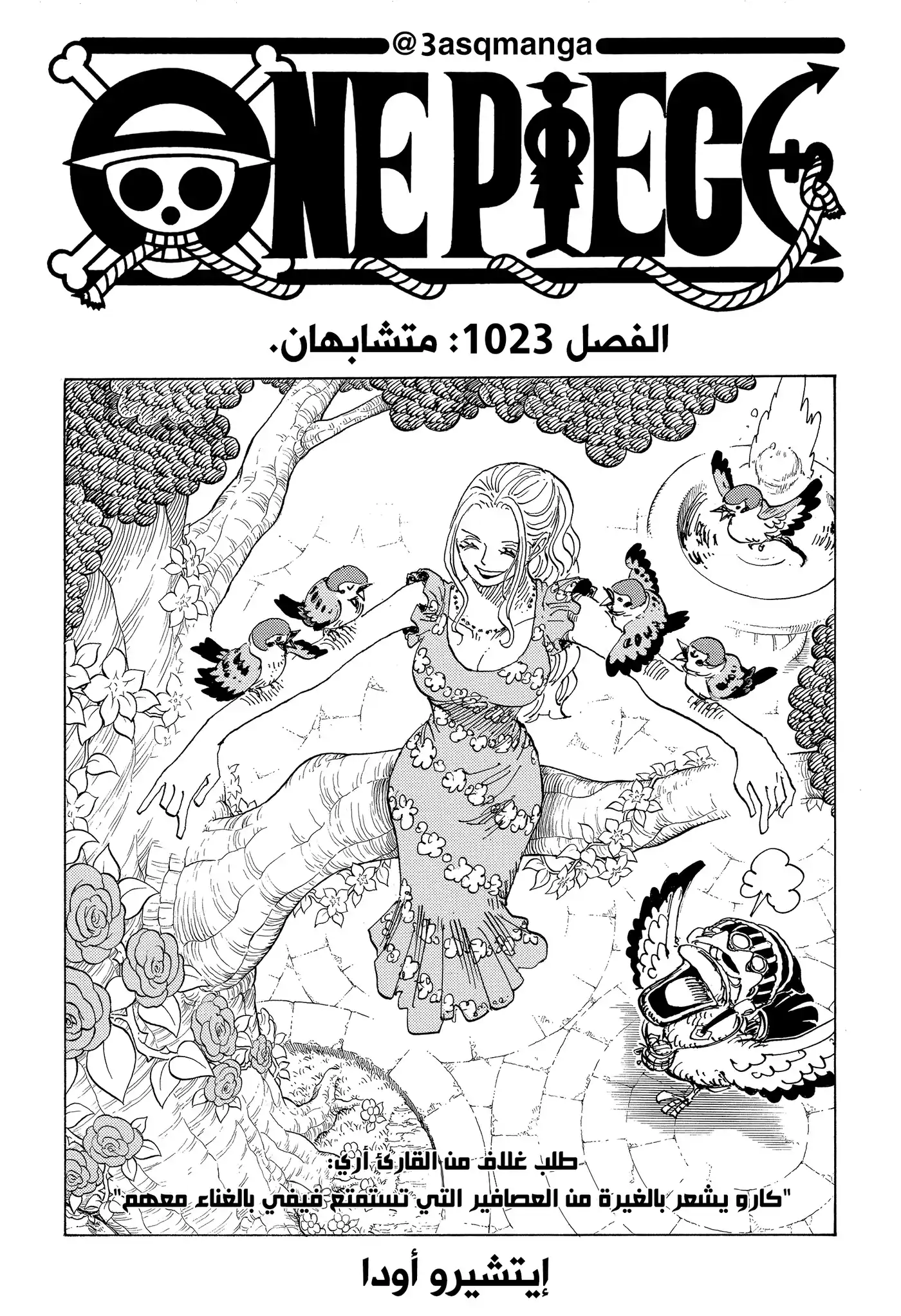 One Piece 1023 - متشابهان. página 2