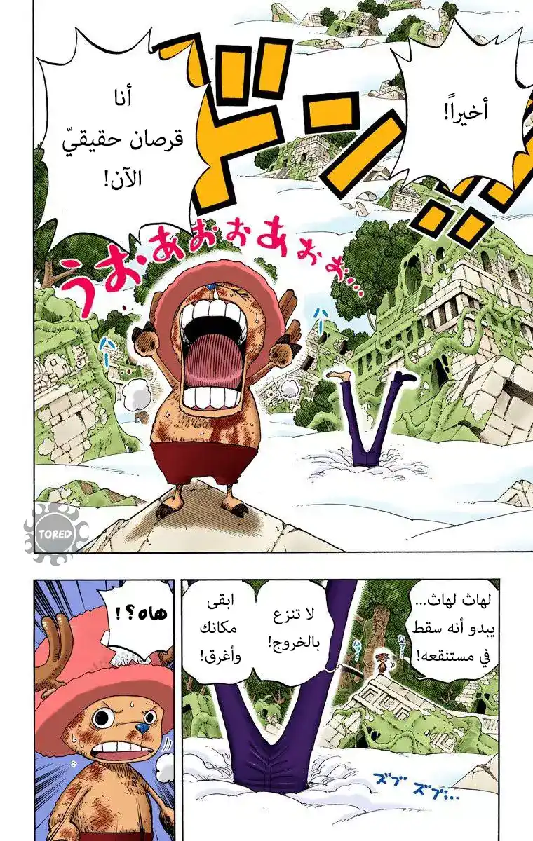 One Piece 263 - القرصانة نامي والفارس الغريب ضد القادة الفرعيين للمحاربين السماويين هوتوري وكوتوري página 2