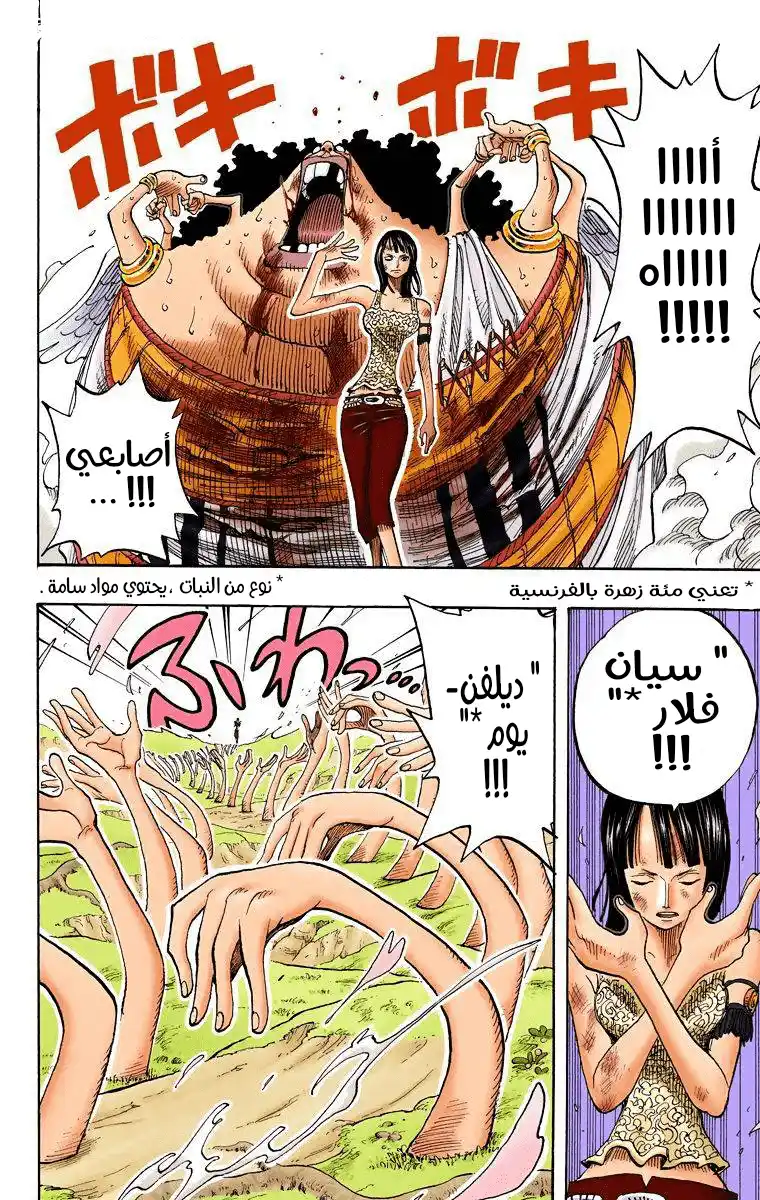 One Piece 265 - روبن ضد ياما página 17