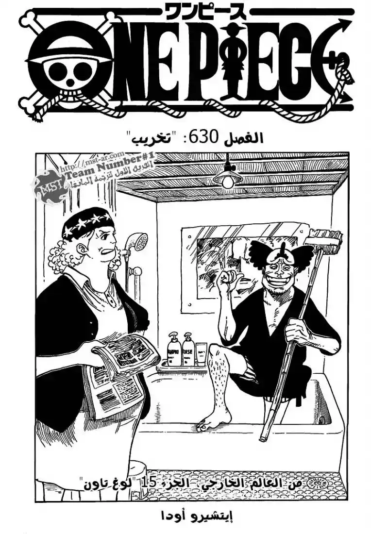 One Piece 630 - تخريب página 2