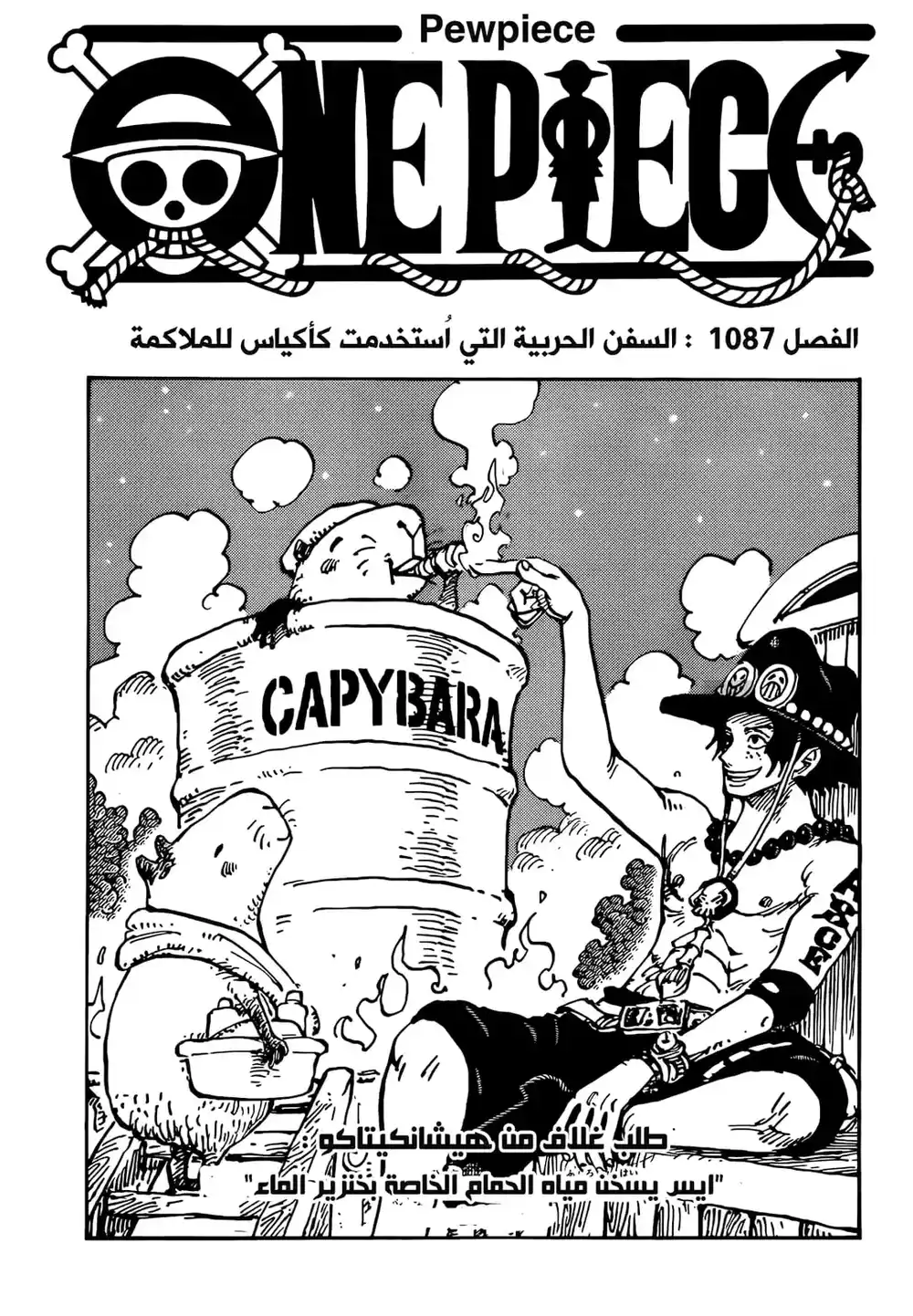 One Piece 1087 - السفن الحربية التي استخدمت كأكياس ملاكمة página 2