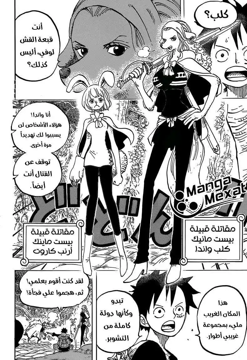 One Piece 805 - قبيلة المينك página 11