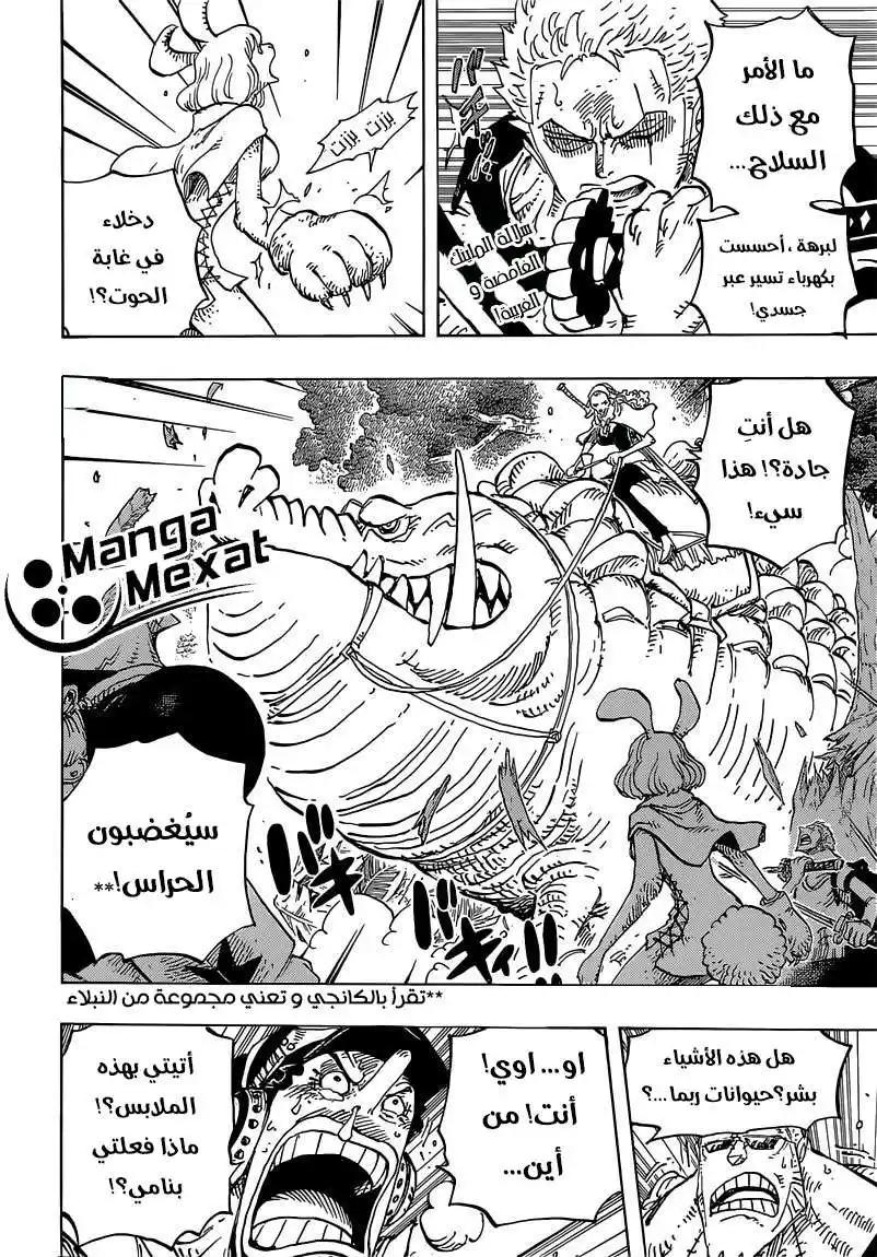 One Piece 805 - قبيلة المينك página 2