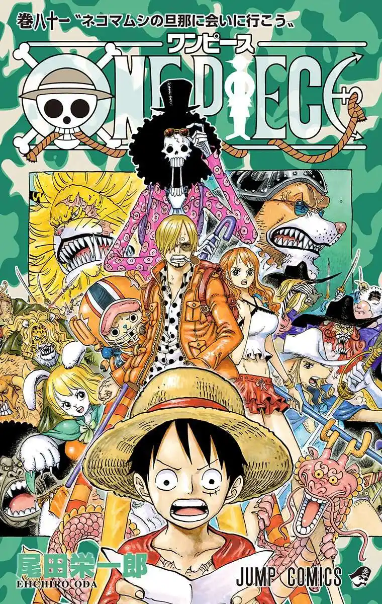 One Piece 807 - قبل 10 أيام página 1