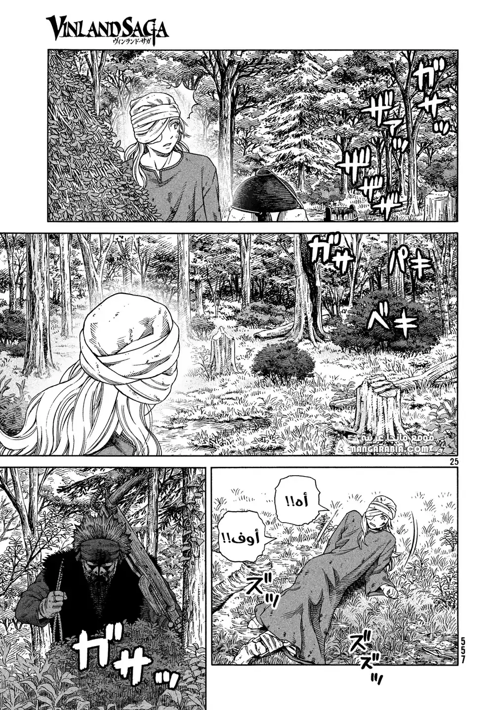 Vinland Saga 119 - الصياد و الفريسة ج6 página 25