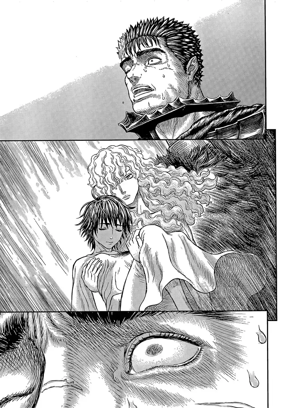 Berserk 383 - افتراس página 16