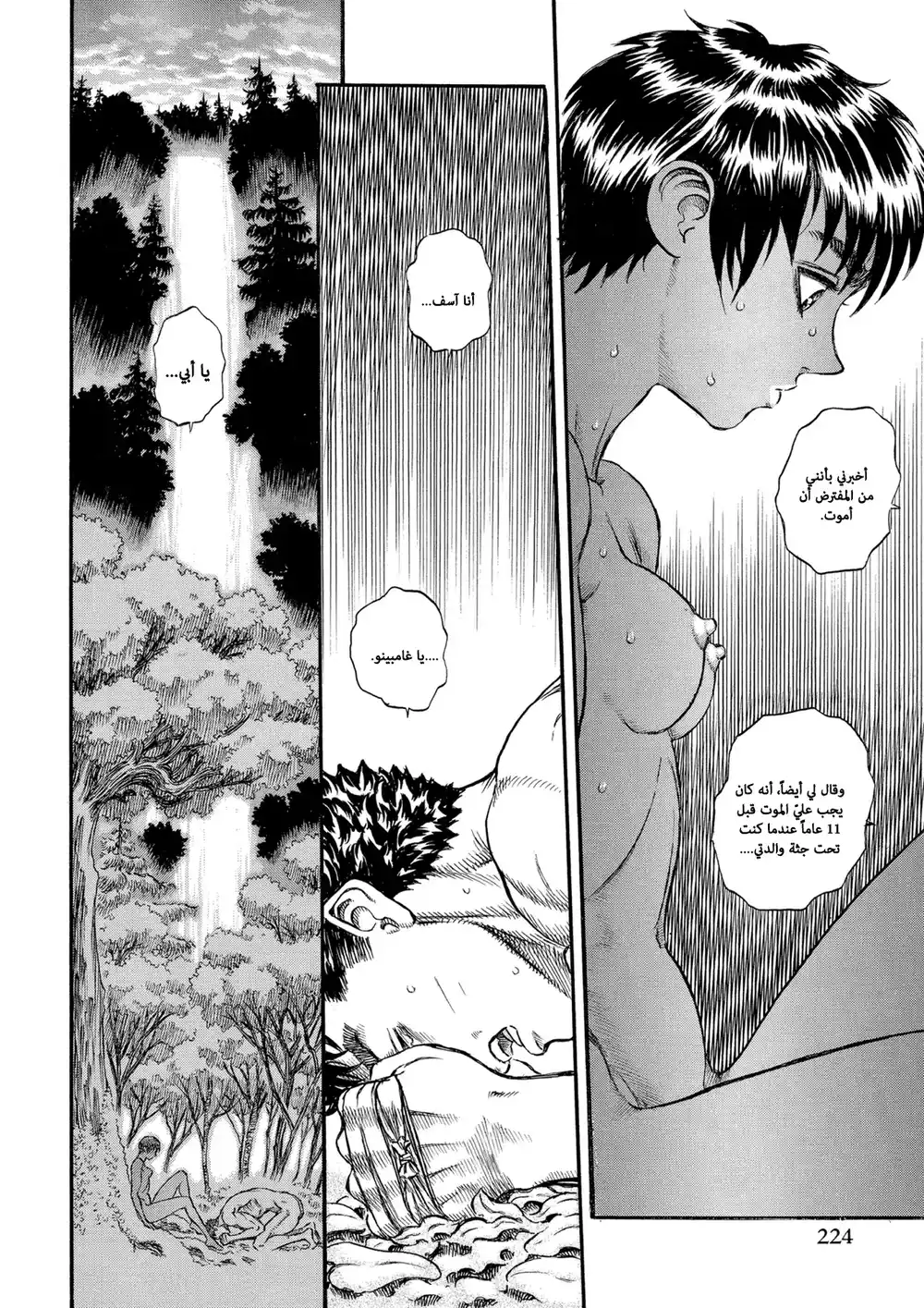 Berserk 63 - الجروح (2) página 11