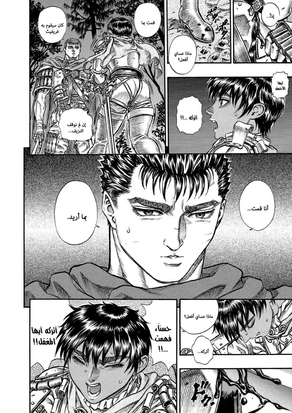 Berserk 61 página 13