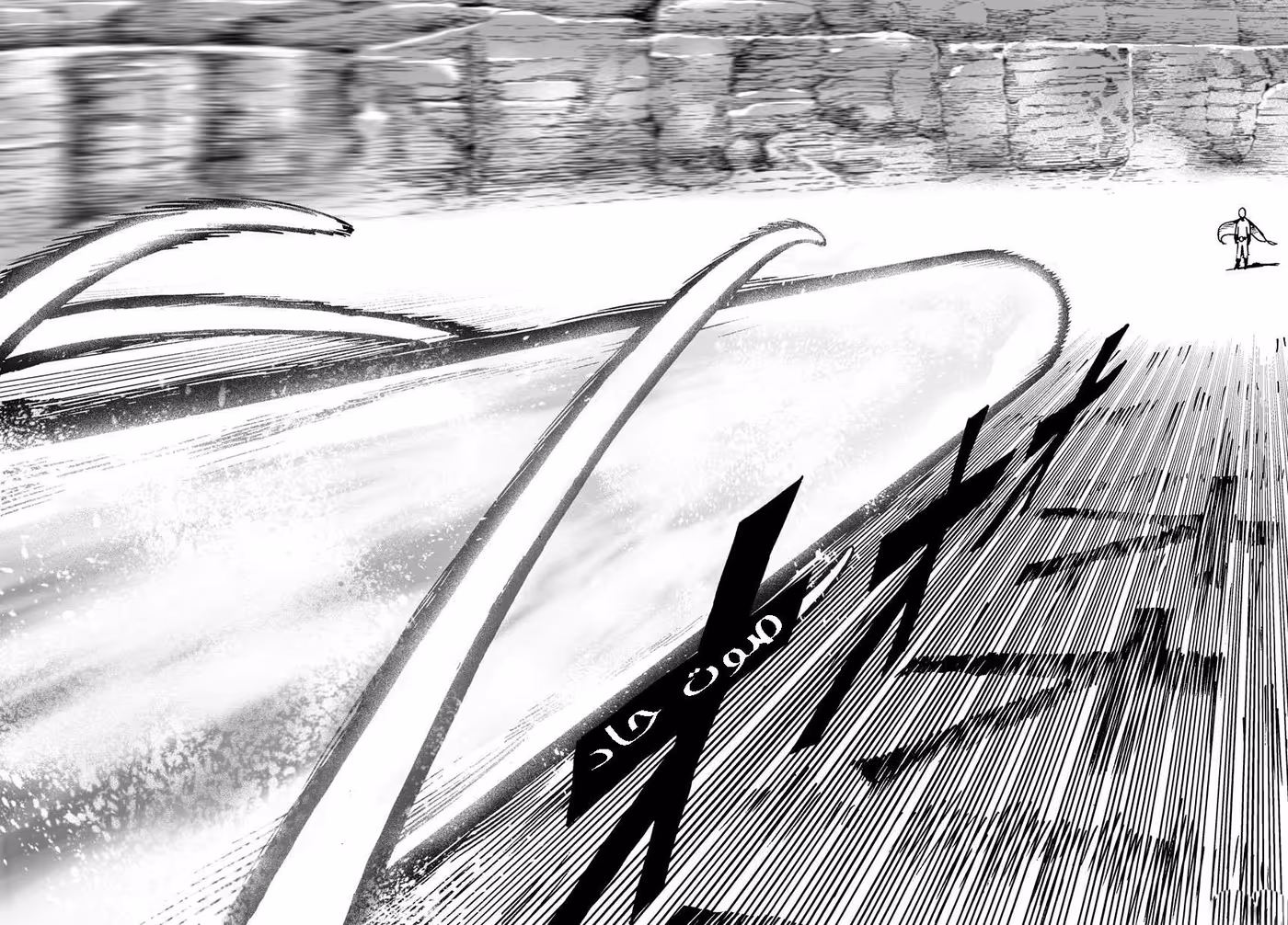 One Punch Man 17.1 - مواجهة página 14