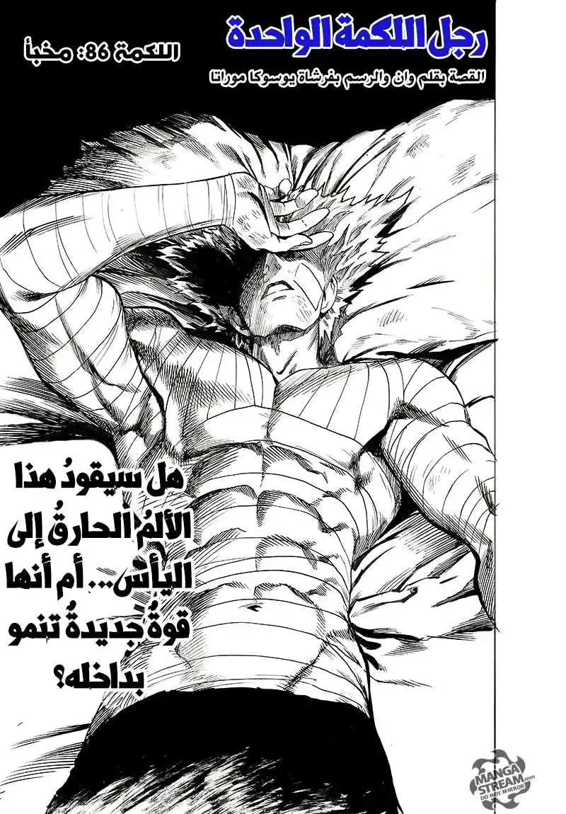 One Punch Man 86 - مخبأ página 1