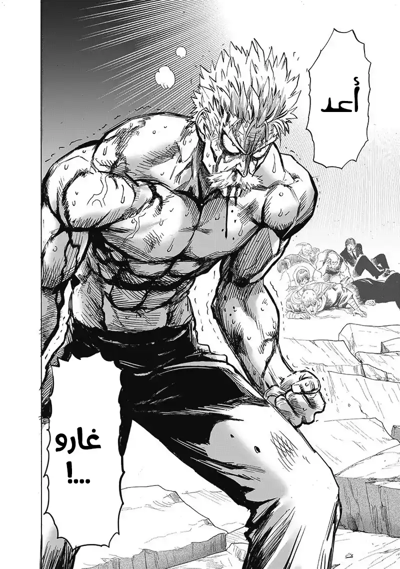 One Punch Man 166 - مضاعف página 4