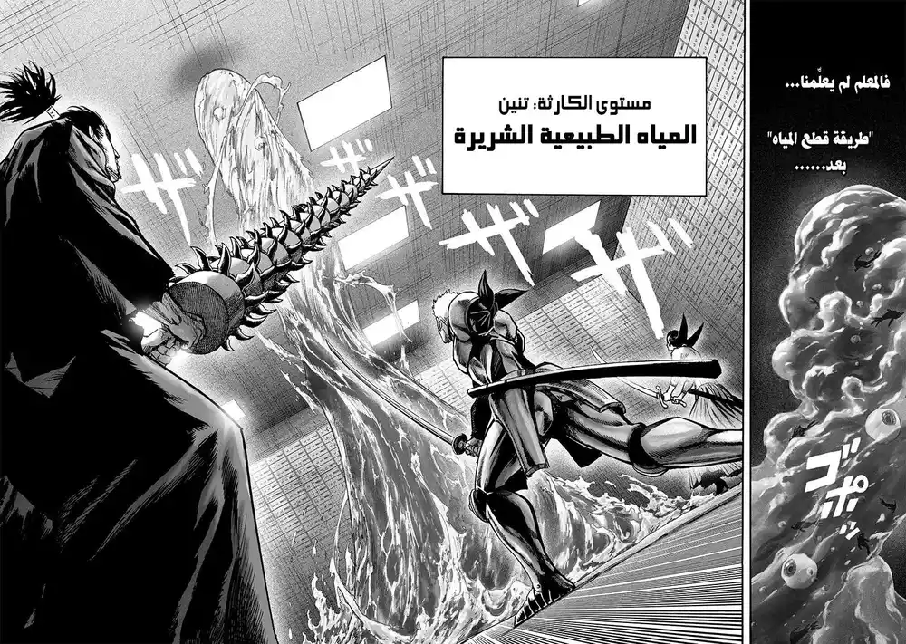 One Punch Man 114 - القادة página 20