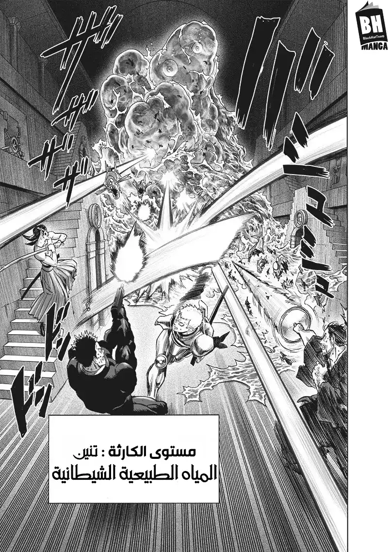 One Punch Man 113 - حظٌ عاثر página 14