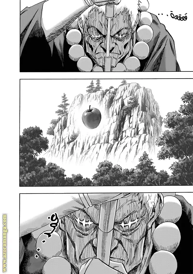 One Punch Man 188 - تقييم página 14