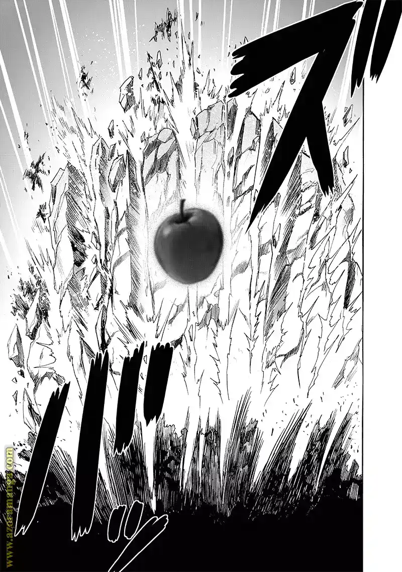 One Punch Man 188 - تقييم página 15