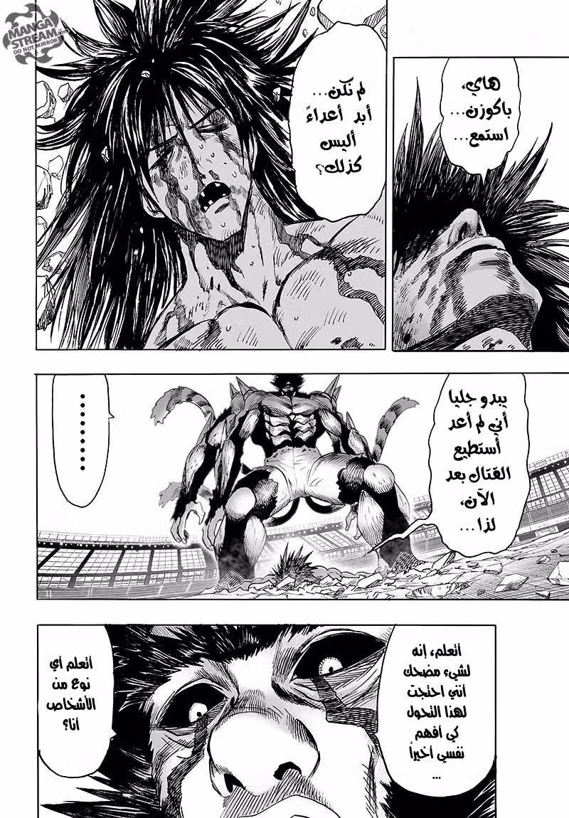One Punch Man 74.6 página 4